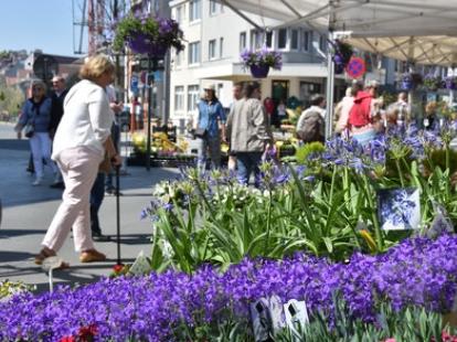 Bloemenjaarmarkt